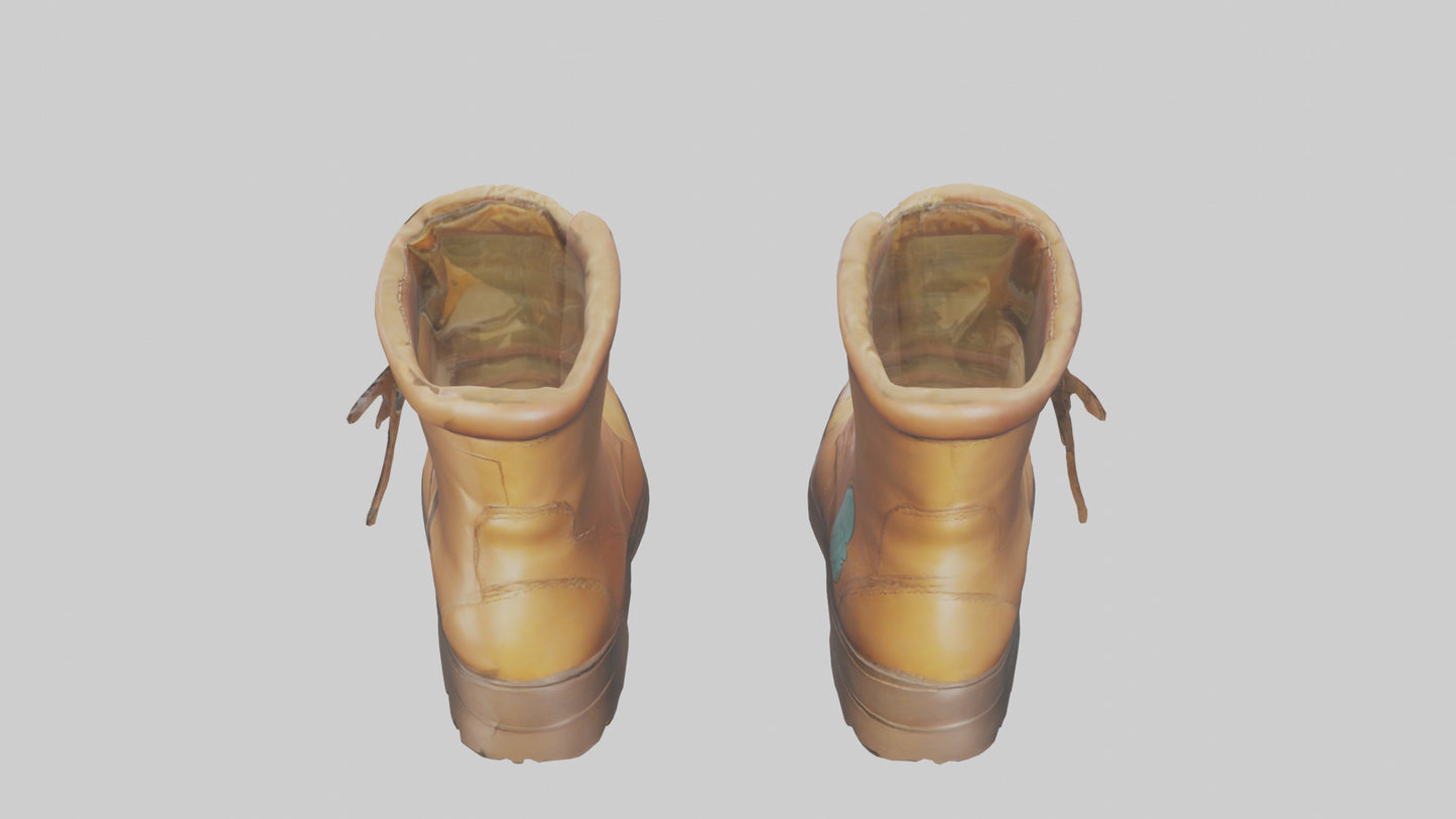 Cartoon Boots model 3D model