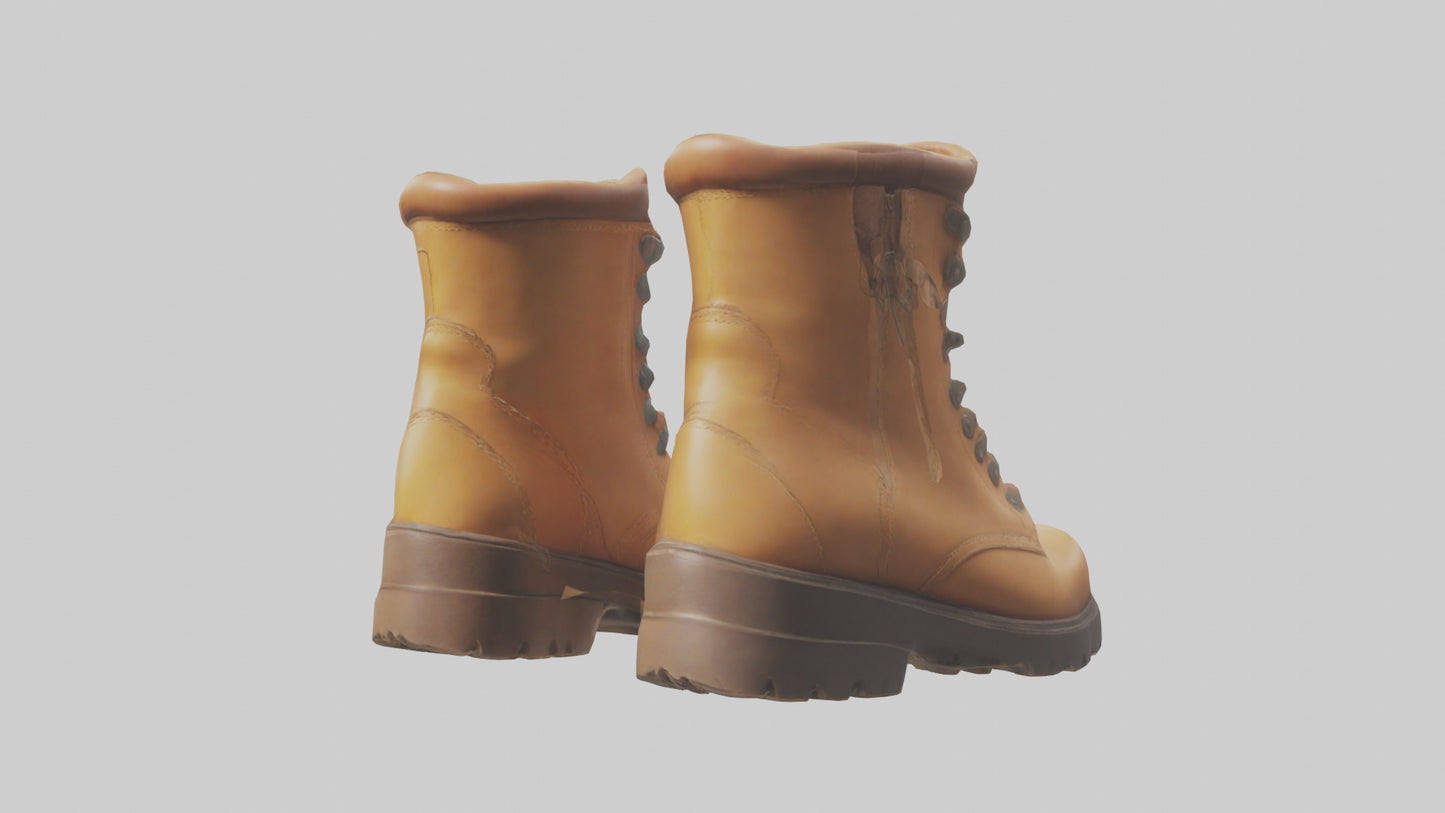 Cartoon Boots model 3D model