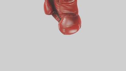 Cartoon Boxing Glove model 3D model