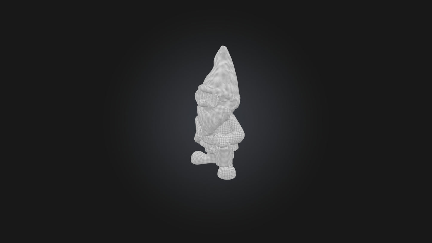 Cartoon Gnomes 3D model