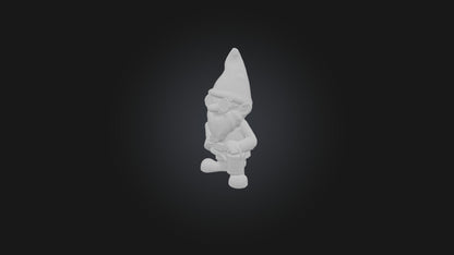 Cartoon Gnomes 3D model