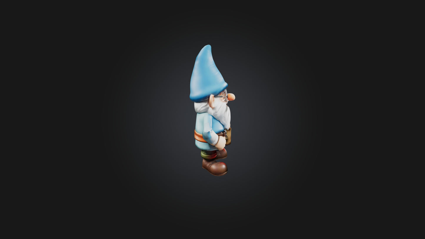 Cartoon Gnomes 3D model