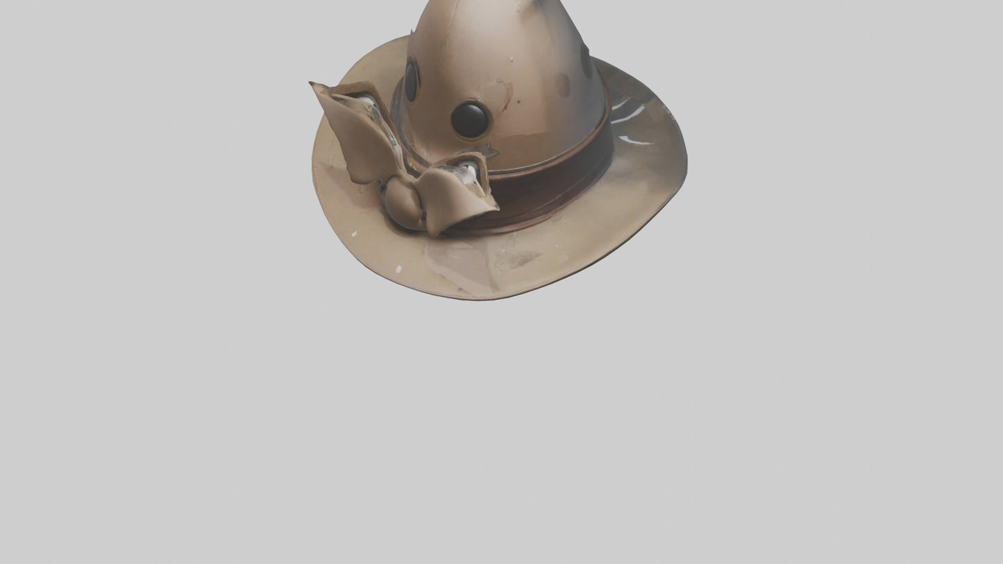 Cartoon Hat model 3D model