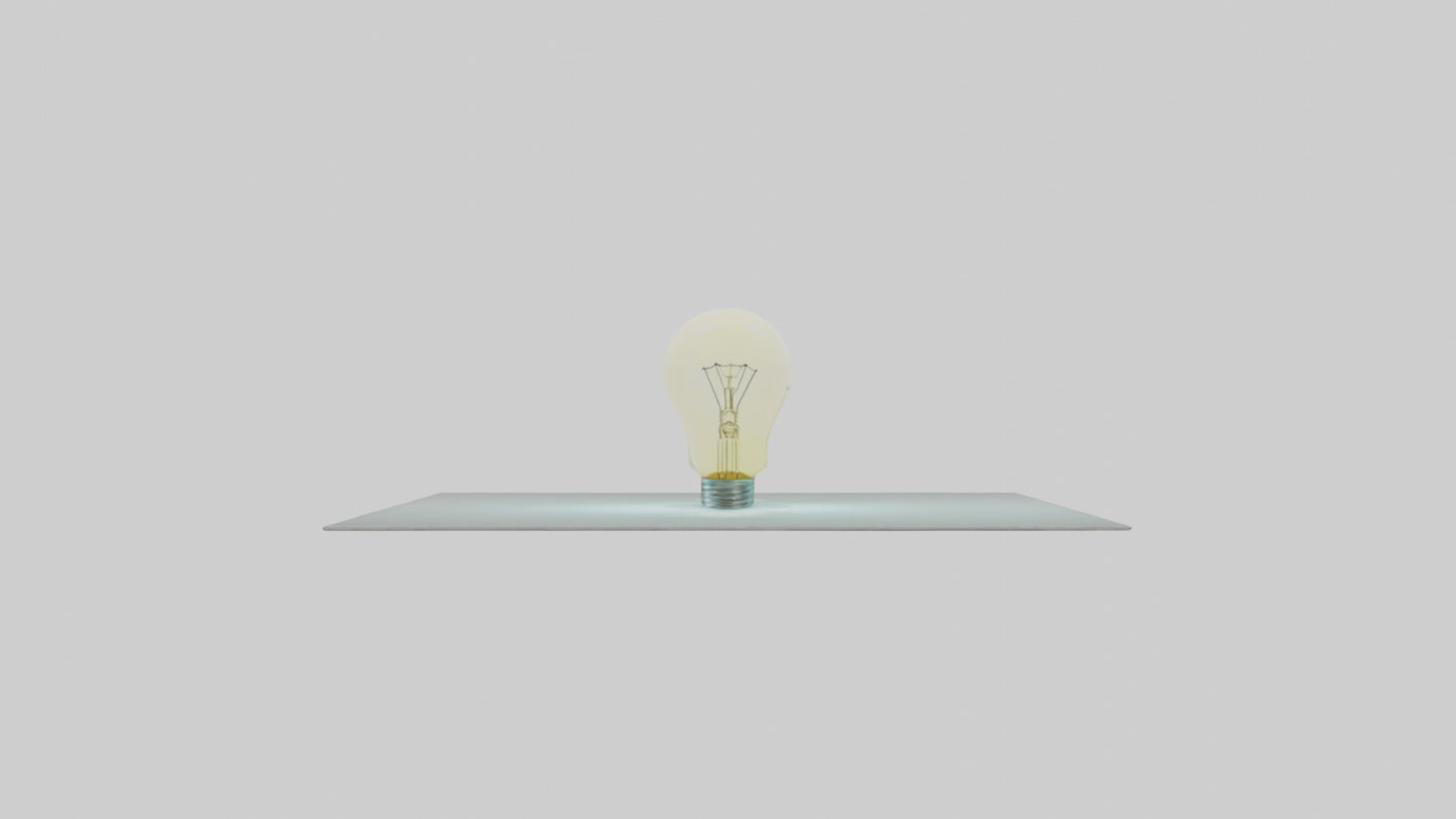 Cartoon Light Bulb model 3D model