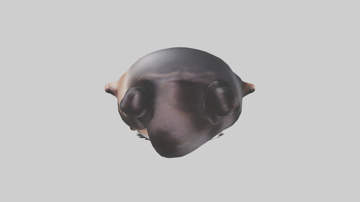 Cartoon Makeup Artist model 3D model