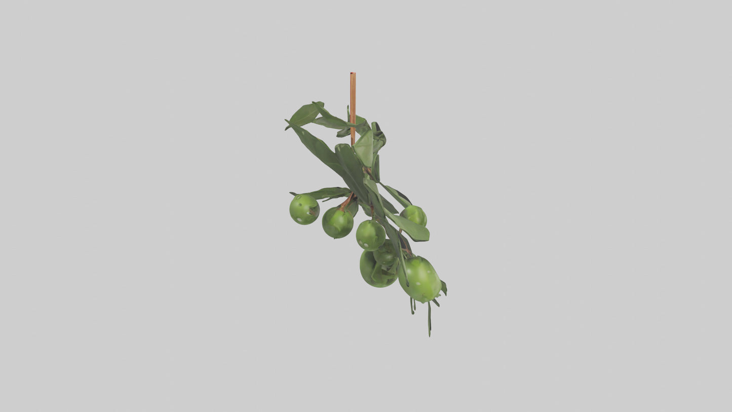 Cartoon Mistletoe model 3D model