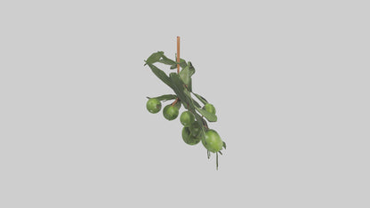 Cartoon Mistletoe model 3D model