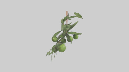 Cartoon Mistletoe model 3D model