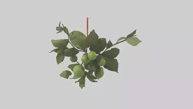 Cartoon Mistletoe model 3D model
