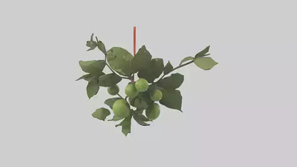 Cartoon Mistletoe model 3D model