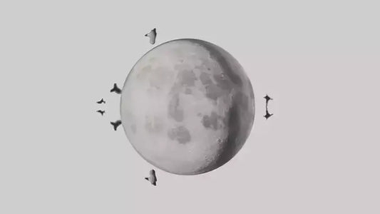 Cartoon Moon model 3D model
