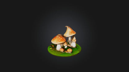 Cartoon Mushrooms 3D model