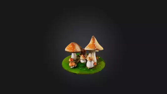 Cartoon Mushrooms 3D model