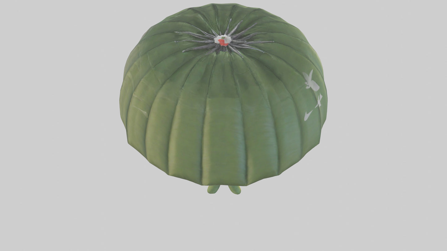 Cartoon Parachute model 3D model