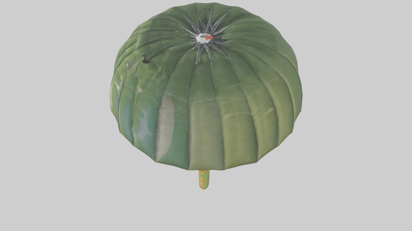 Cartoon Parachute model 3D model
