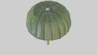 Cartoon Parachute model 3D model