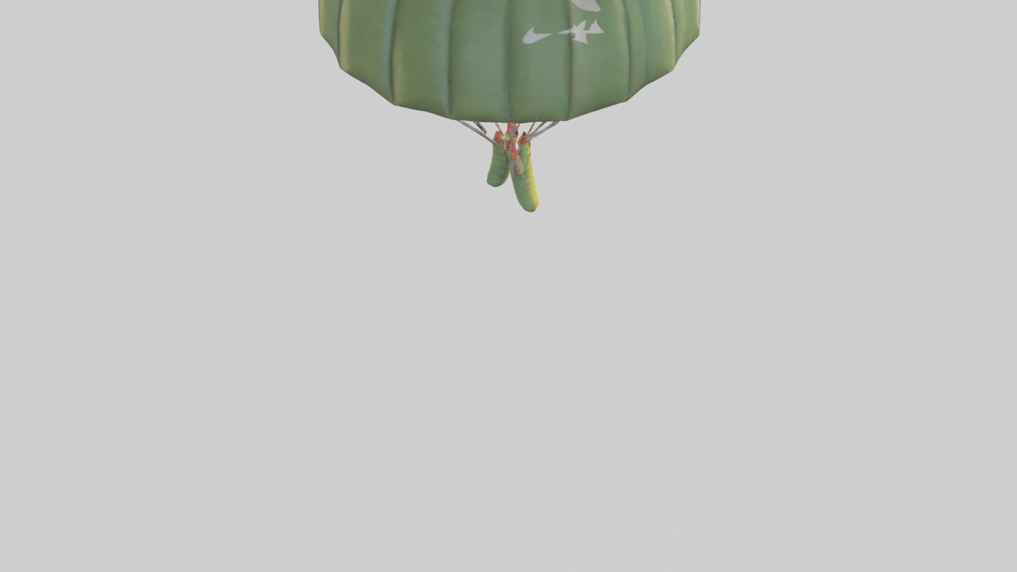 Cartoon Parachute model 3D model