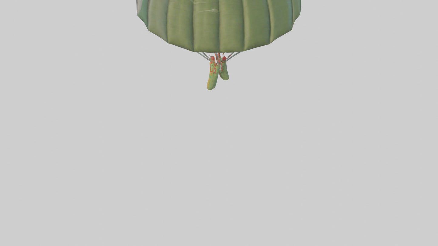 Cartoon Parachute model 3D model