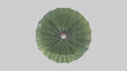 Cartoon Parachute model 3D model