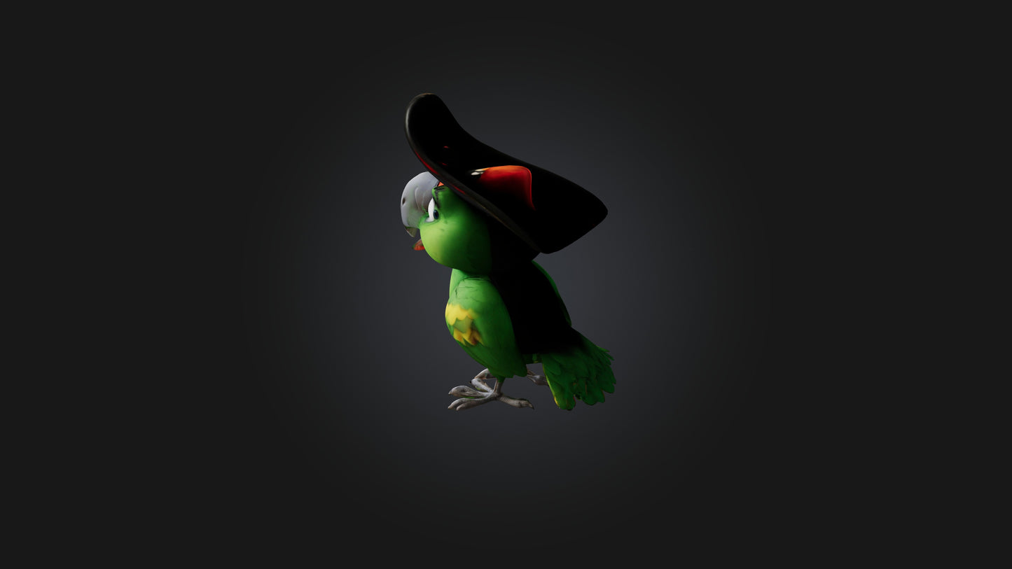 Cartoon Pirate Parrot 3D model