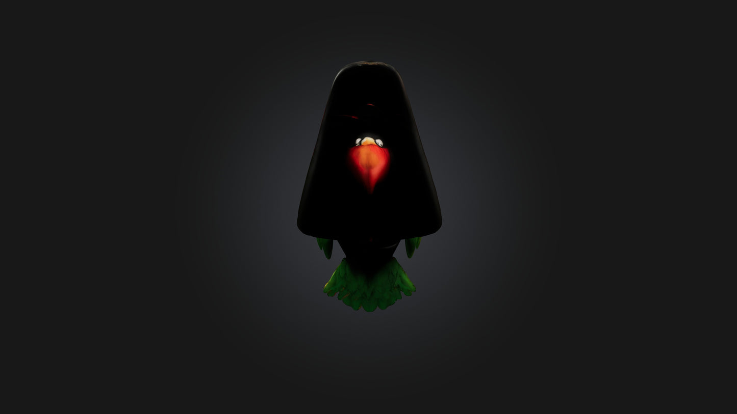 Cartoon Pirate Parrot 3D model