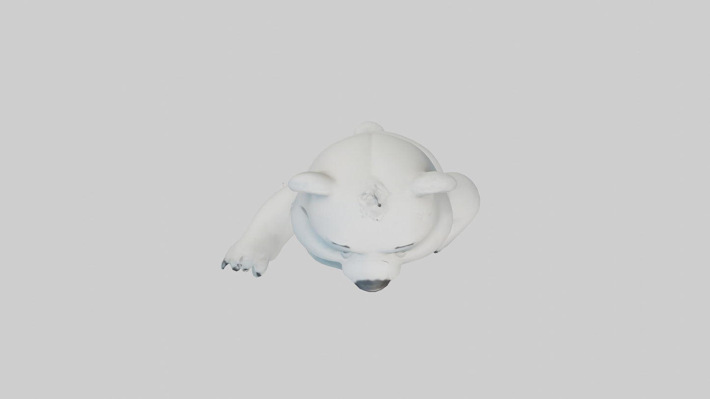 Cartoon Polar Bear model 3D model