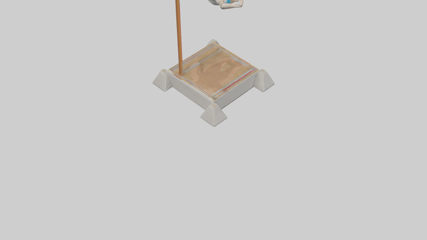 Cartoon Pole Vault model 3D model