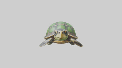 Cartoon Sea Turtle model 3D model