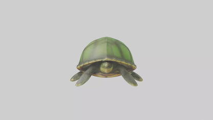 Cartoon Sea Turtle model 3D model