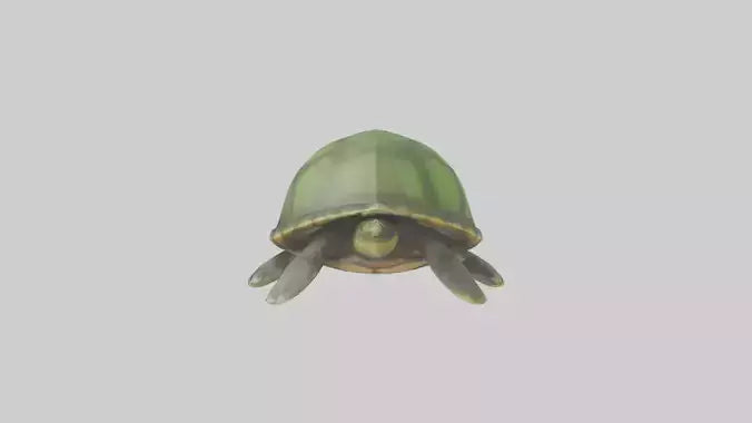 Cartoon Sea Turtle model 3D model