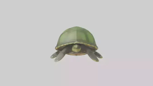 Cartoon Sea Turtle model 3D model
