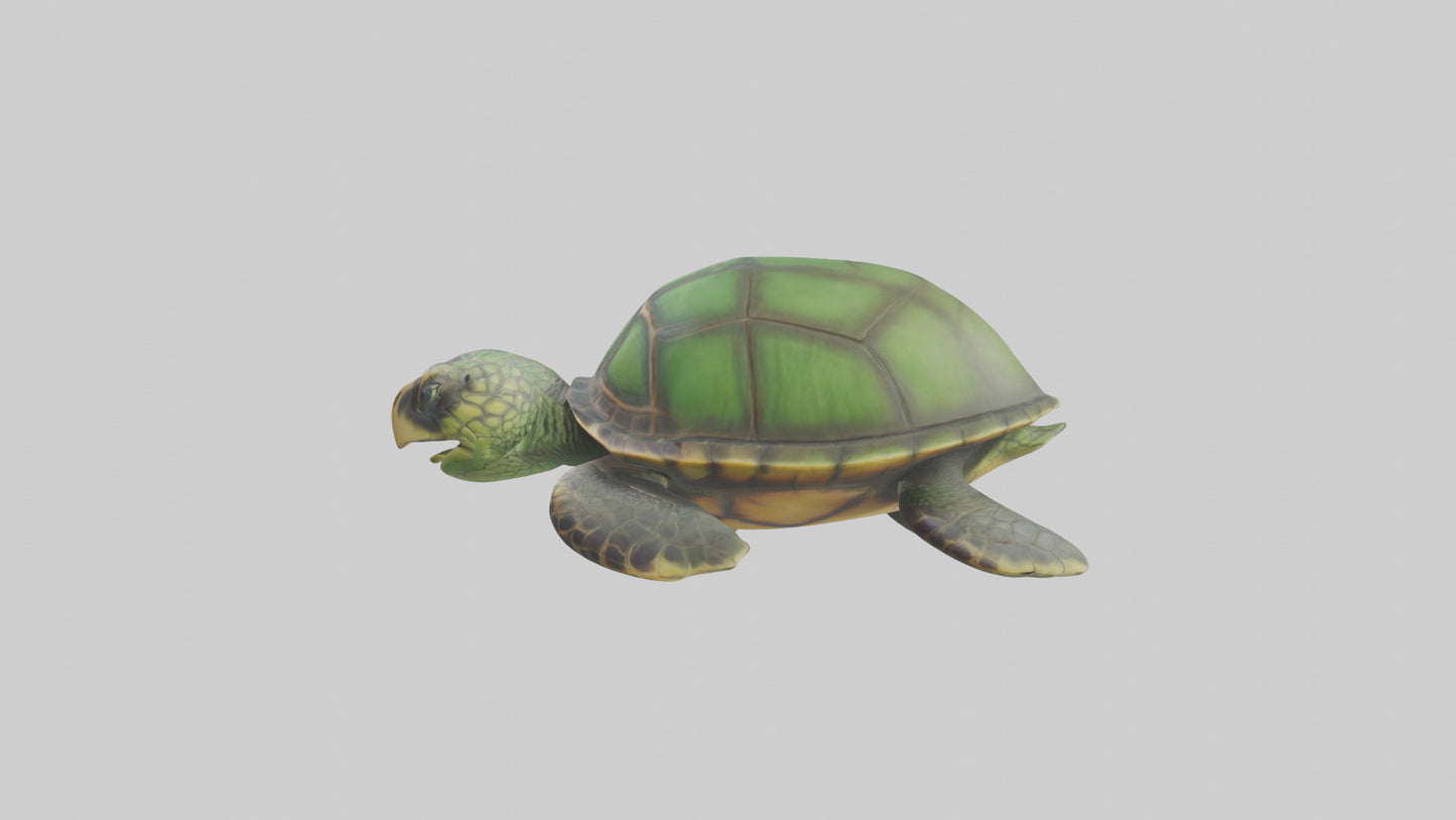 Cartoon Sea Turtle model 3D model