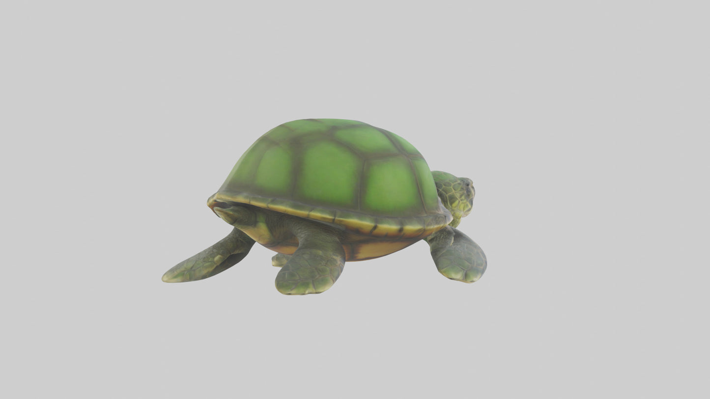 Cartoon Sea Turtle model 3D model