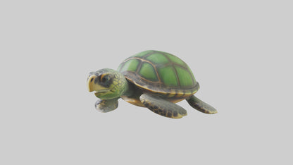 Cartoon Sea Turtle model 3D model