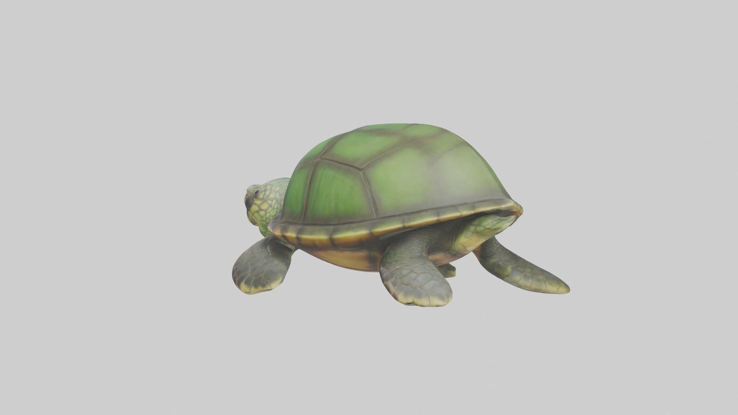 Cartoon Sea Turtle model 3D model
