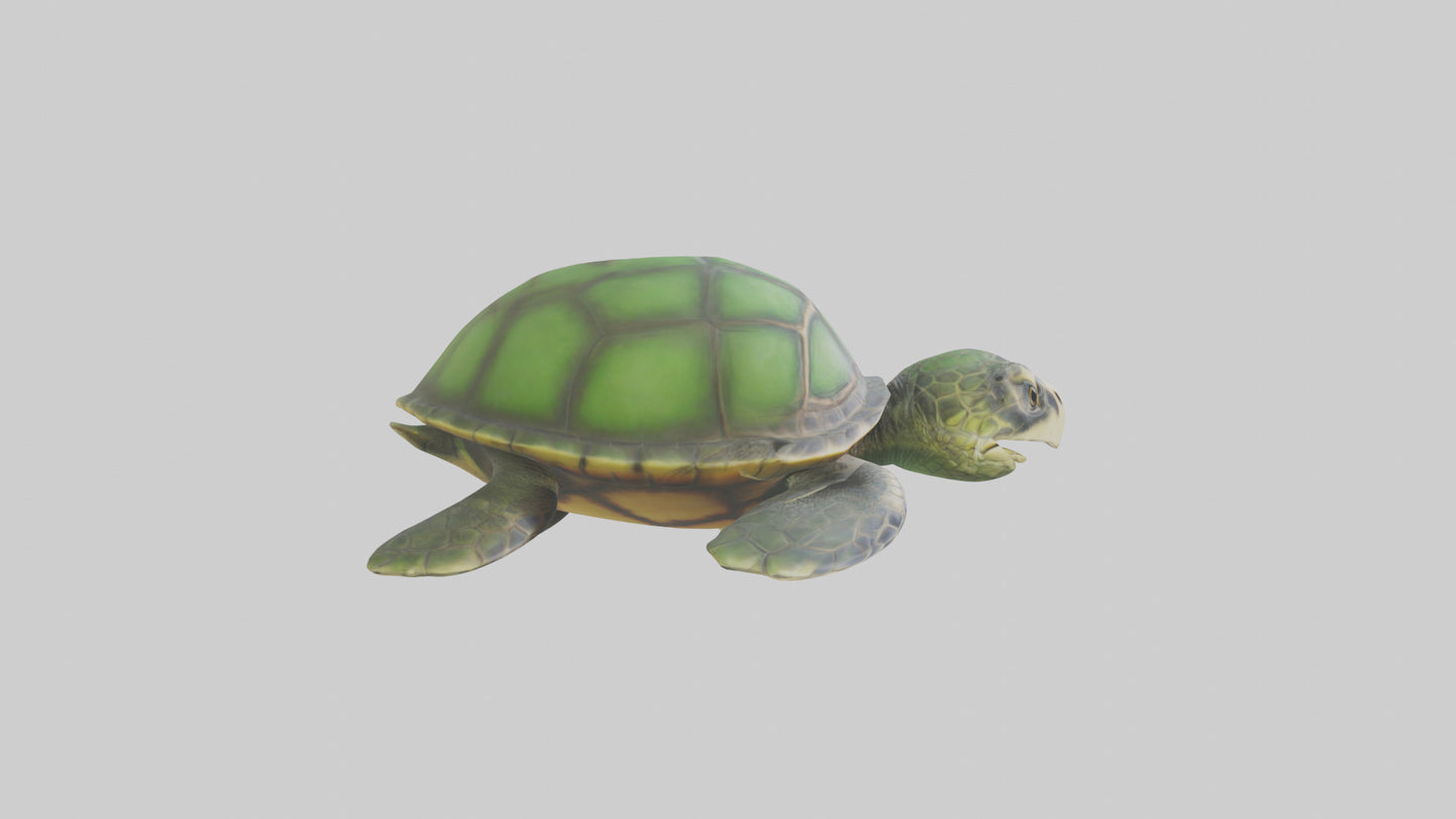 Cartoon Sea Turtle model 3D model