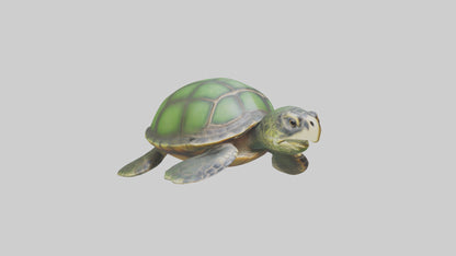 Cartoon Sea Turtle model 3D model