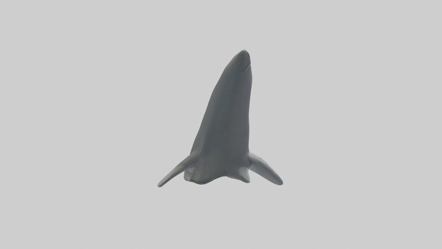 Cartoon Shark Fin model 3D model