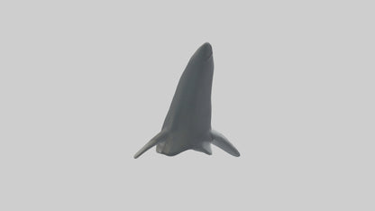 Cartoon Shark Fin model 3D model