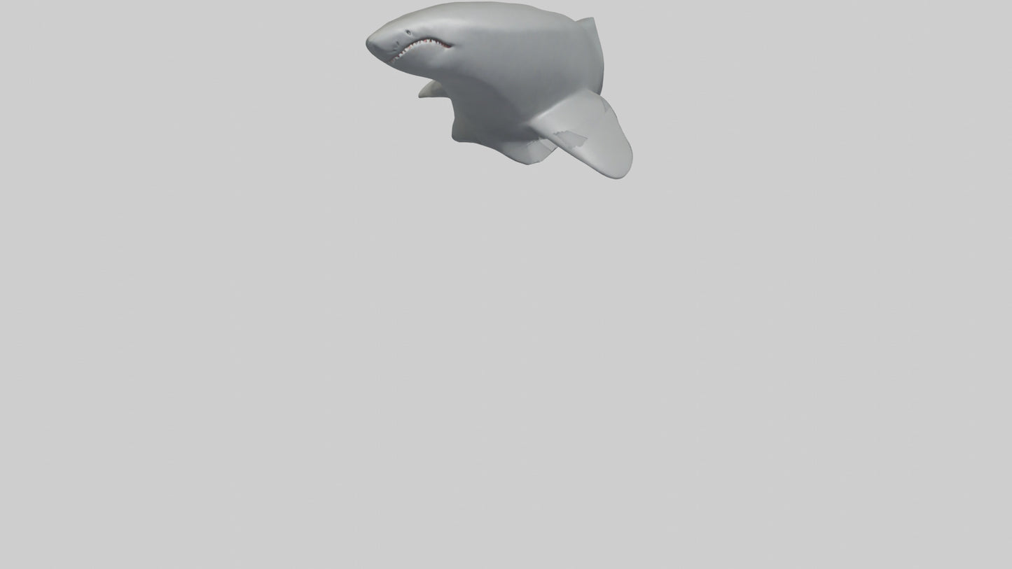 Cartoon Shark Fin model 3D model