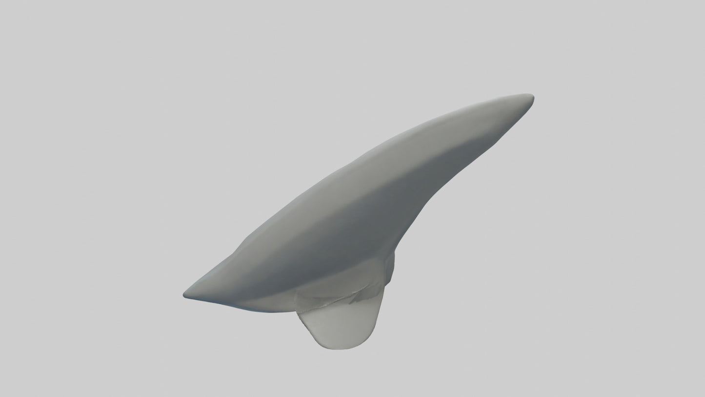 Cartoon Shark Fin model 3D model
