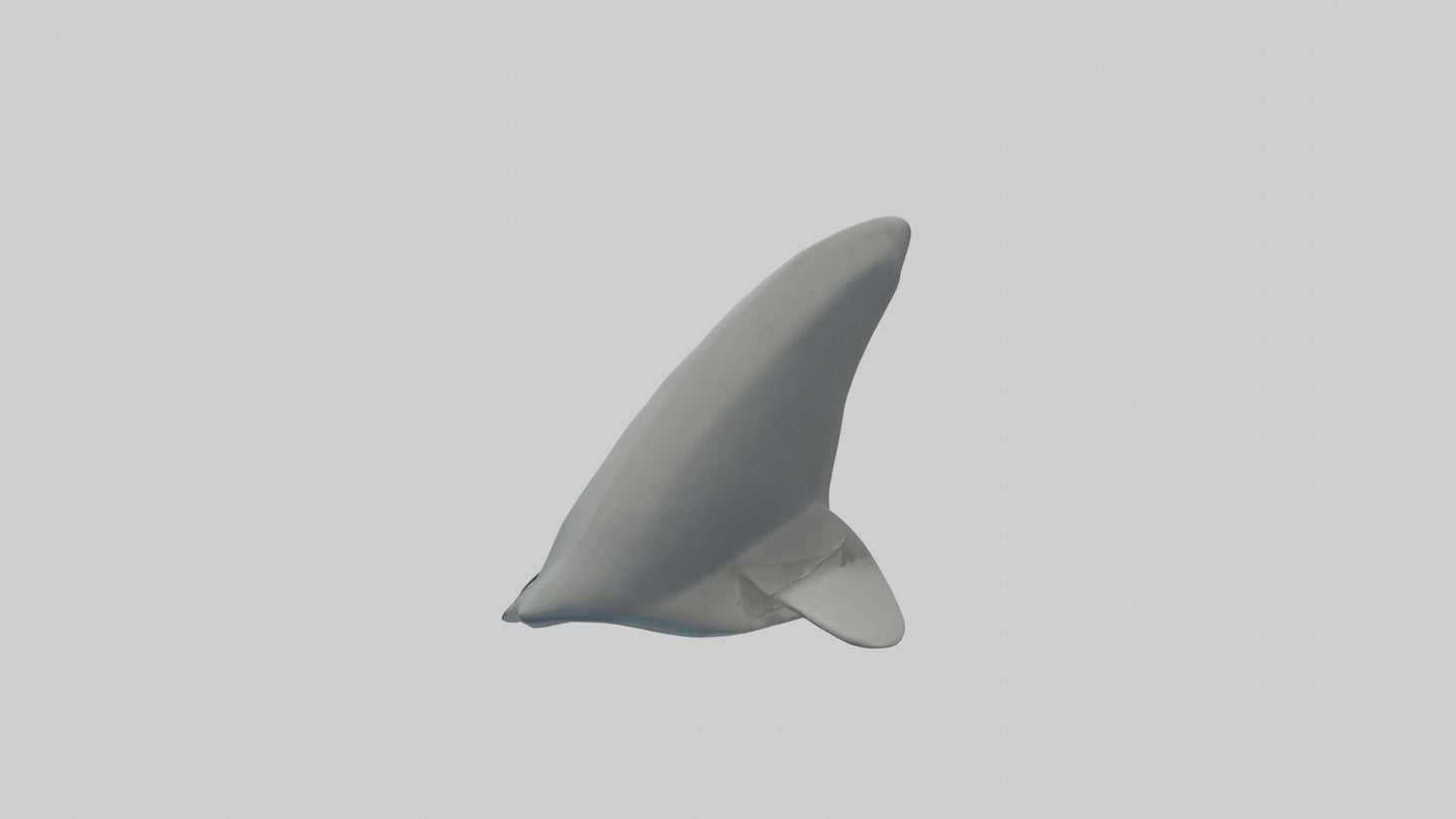 Cartoon Shark Fin model 3D model