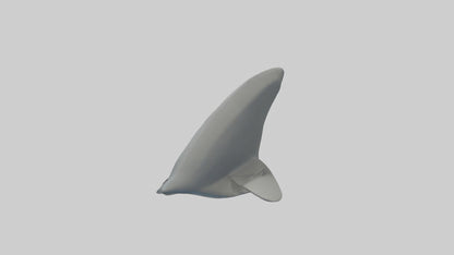 Cartoon Shark Fin model 3D model