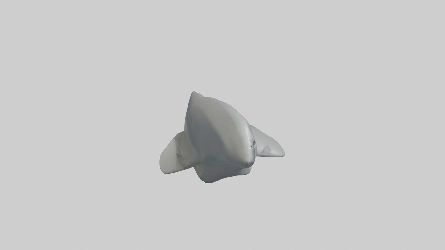 Cartoon Shark Fin model 3D model