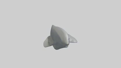 Cartoon Shark Fin model 3D model