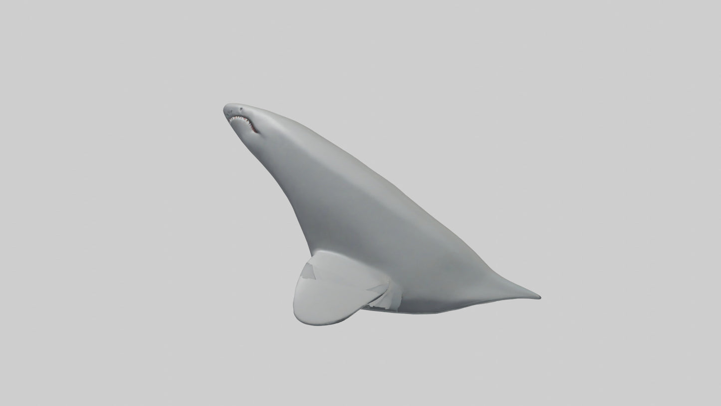 Cartoon Shark Fin model 3D model