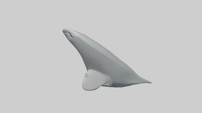 Cartoon Shark Fin model 3D model