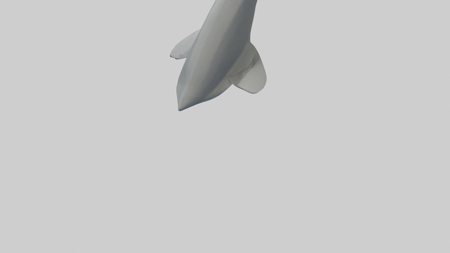 Cartoon Shark Fin model 3D model