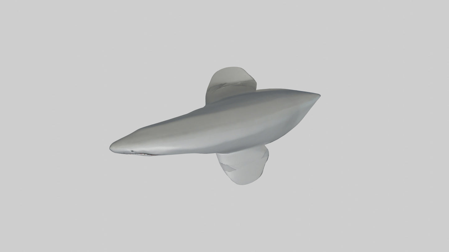 Cartoon Shark Fin model 3D model