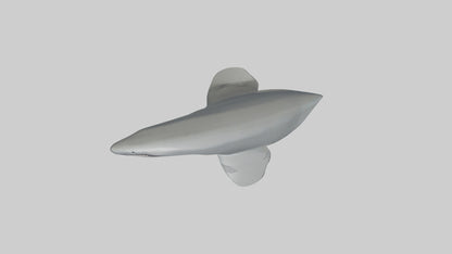 Cartoon Shark Fin model 3D model